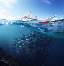 The canyon is one of the only passes through an underwater mountain range that blocks deep-ocean currents flowing along the Atlantic Ocean seafloor