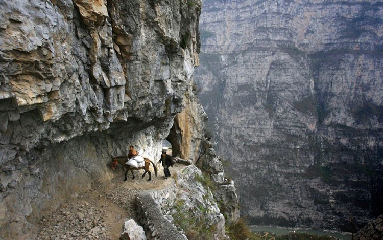 The World's Scariest Roads