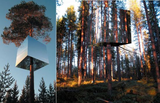 World-Class Tree Houses