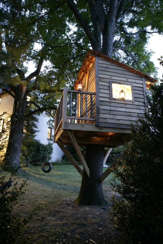 World-Class Tree Houses