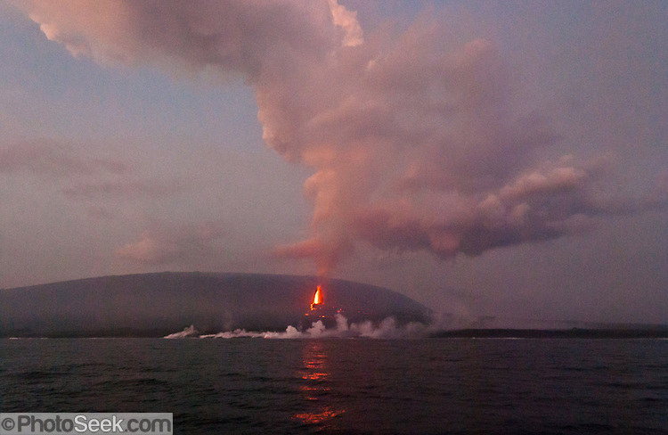 uthorities said no tourist activity was affected – and for now, lava flowing in the southwest direction poses no risk to the world's only population of pink iguanas, which live on the island's northwest tip.