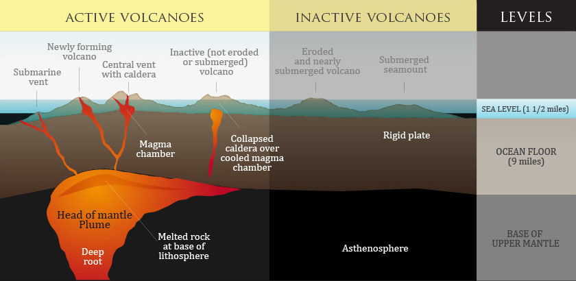 Galapagos volcano erupts for first time in 33 years