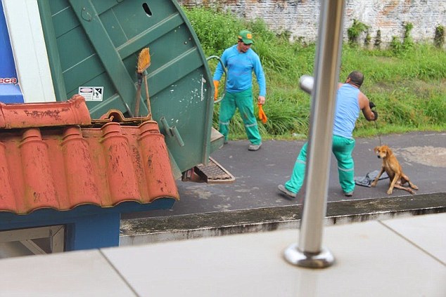 Witnesses said they saw him deliberately run the stray dog down before tying a chain around its neck.