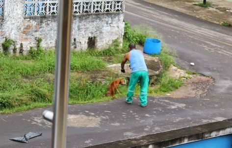 She wrote: ‘This little dog, who wasn’t bothering anyone, had its legs broken, and in agony was tied up and dragged by the neck, before being brutally murdered by this individual, being thrown and crushed ALIVE in the back of the garbage truck.