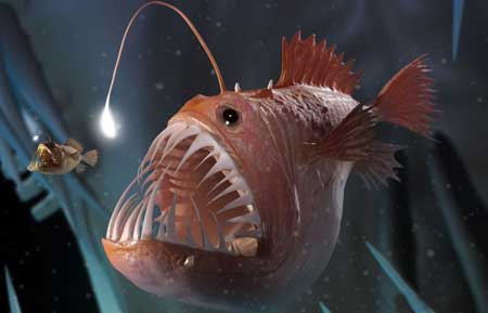 Most Bizarre Deep Sea Creatures