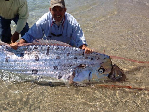 Humongous oarfish washes onto California shore