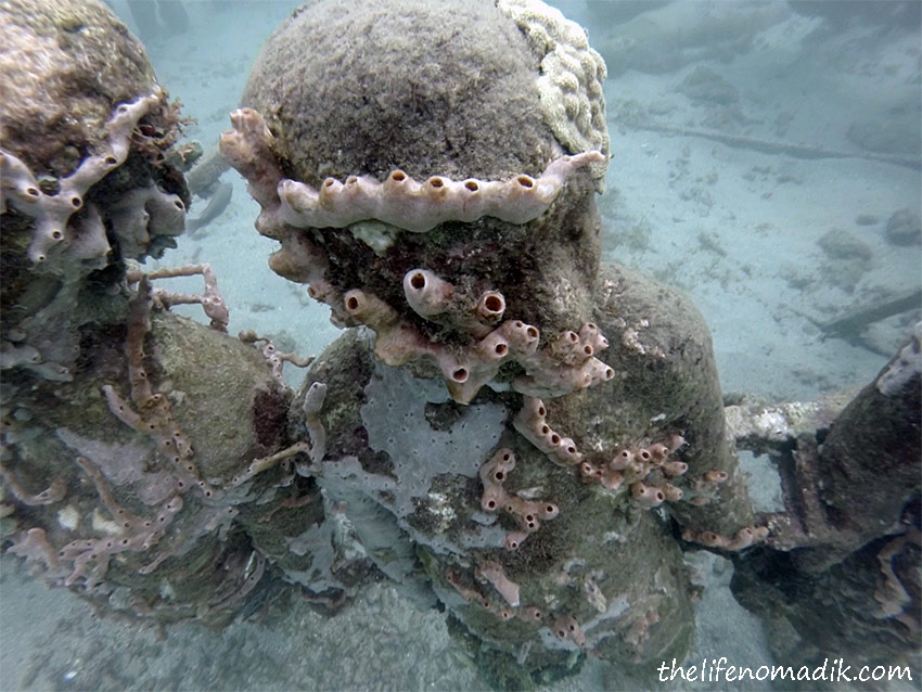 Underwater Sculptures