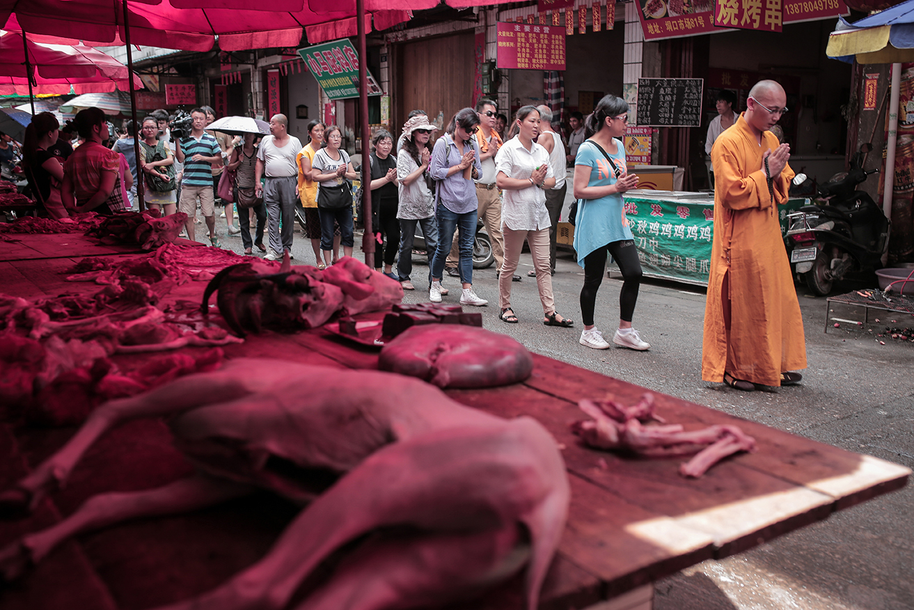 places where man's best friends are raised for such purposes -- thousands of dogs will suffer, be butchered, beaten to death, skinned alive and eaten.