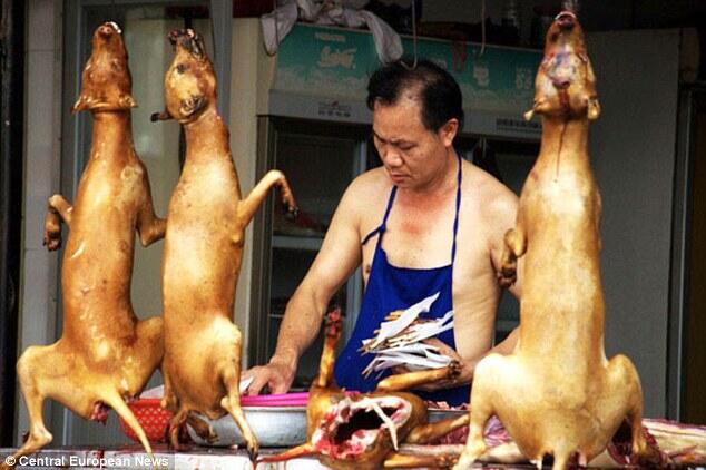 https://www.change.org/p/president-of-the-people-s-republic-of-china-stop-the-yulin-dog-meat-eating-festival