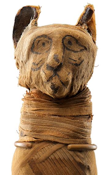 Ancient Egyptians mummified pets as offerings, inclusions in burials, and for religious purposes. This cat mummy dates back to the early Roman period.