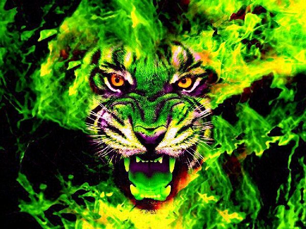 green fire tiger