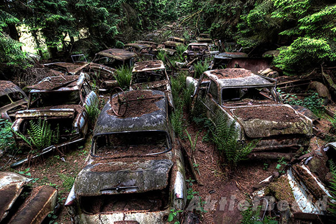 Incredible 70-Year-Old Traffic Jam In A Belgian Forest
