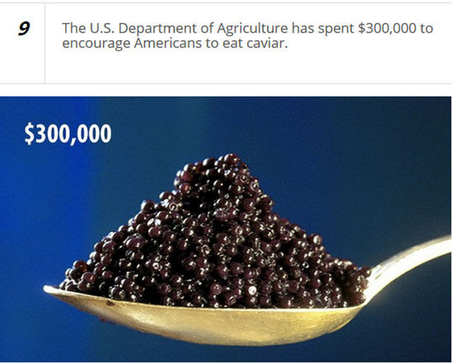 The American Government Spends Millions Of Dollars