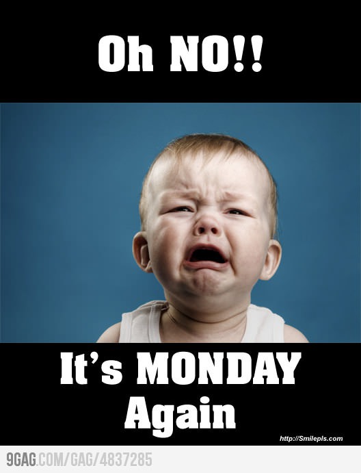 MONDAY  !!!!!!!!!