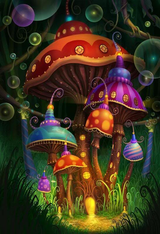 mushroom gallery