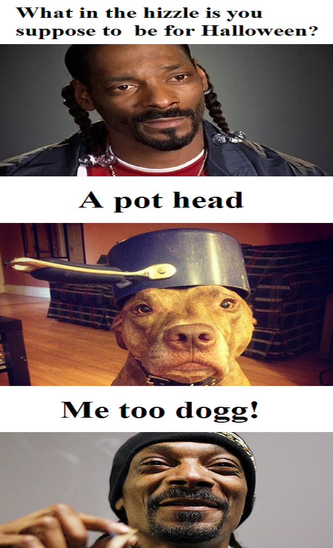 What if Snoop Dogg was an actual dog?...