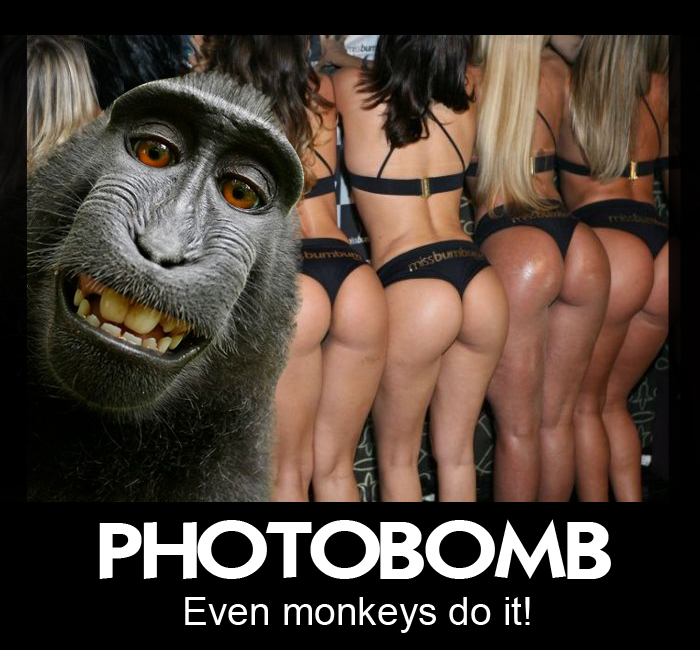 PHOTOBOMB
Even monkeys do it!