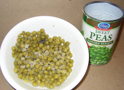 Dead Frog in Can of Peas