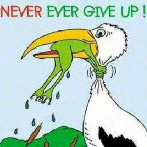 Never Ever Give Up