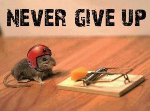Never Give Up,Jesus Didnt.