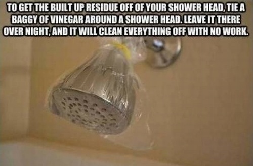 life hack hack life - To Get The Built Up Residue Off Of Your Shower Head, Tie A Baggy Of Vinegar Around A Shower Head. Leave It There Over Night, And It Will Clean Everything Off With No Work.