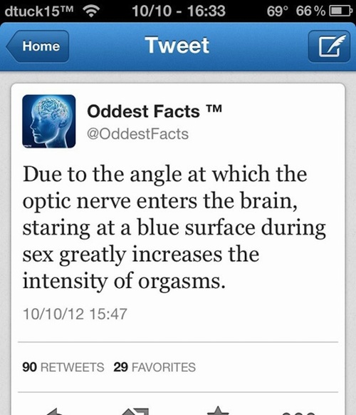 life hack stupid religious facebook posts - dtuck15TM 69 66% 1010 Tweet Home Oddest Facts Due to the angle at which the optic nerve enters the brain, staring at a blue surface during sex greatly increases the intensity of orgasms. 101012 90 29 Favorites