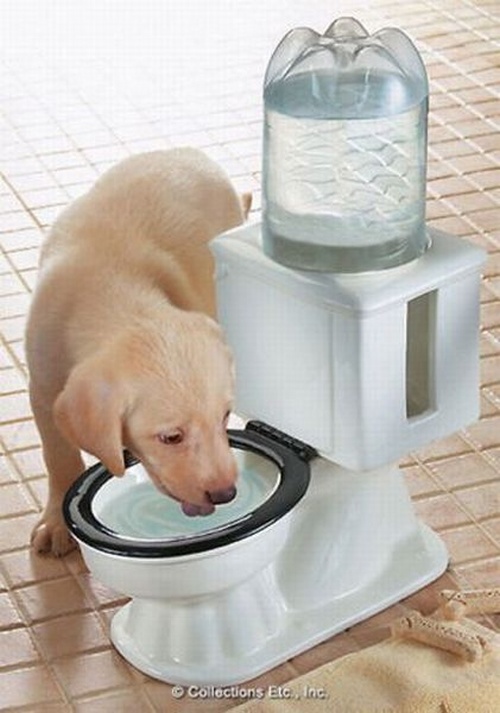 cool product dog water bowl dispenser - Collections Etc., Inc.
