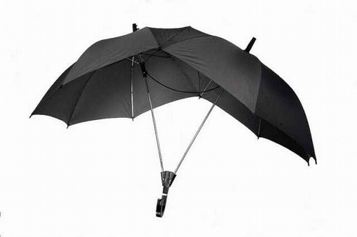 cool product 2 person umbrella