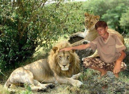 photoshop photoshop fail lion