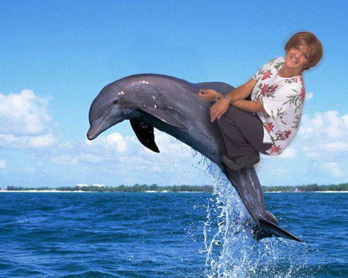 photoshop dolphin hd