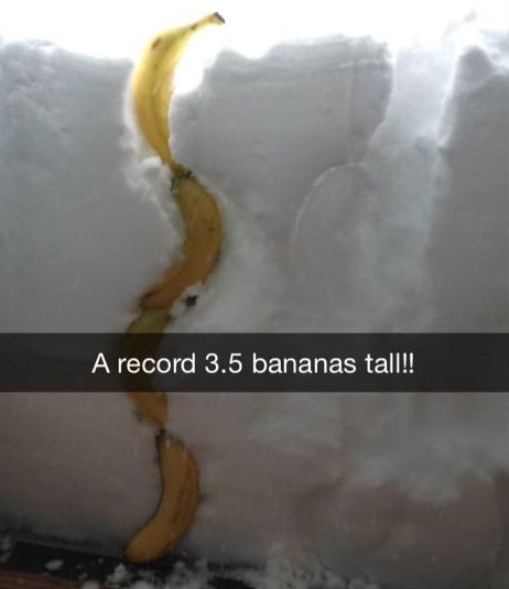 More bananas