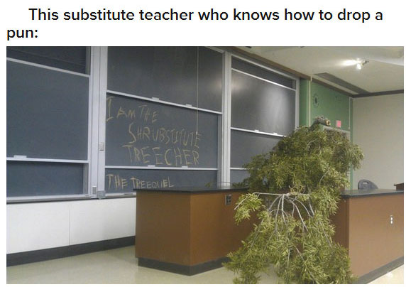 am the substitute treecher - This substitute teacher who knows how to drop a pun Shrubsuute Treecher The Treequel