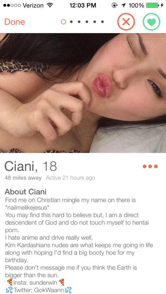 18 Fake Tinder Profiles That Are Too Good To Be True