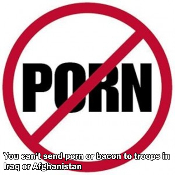 24 Porn Facts You Should Know!