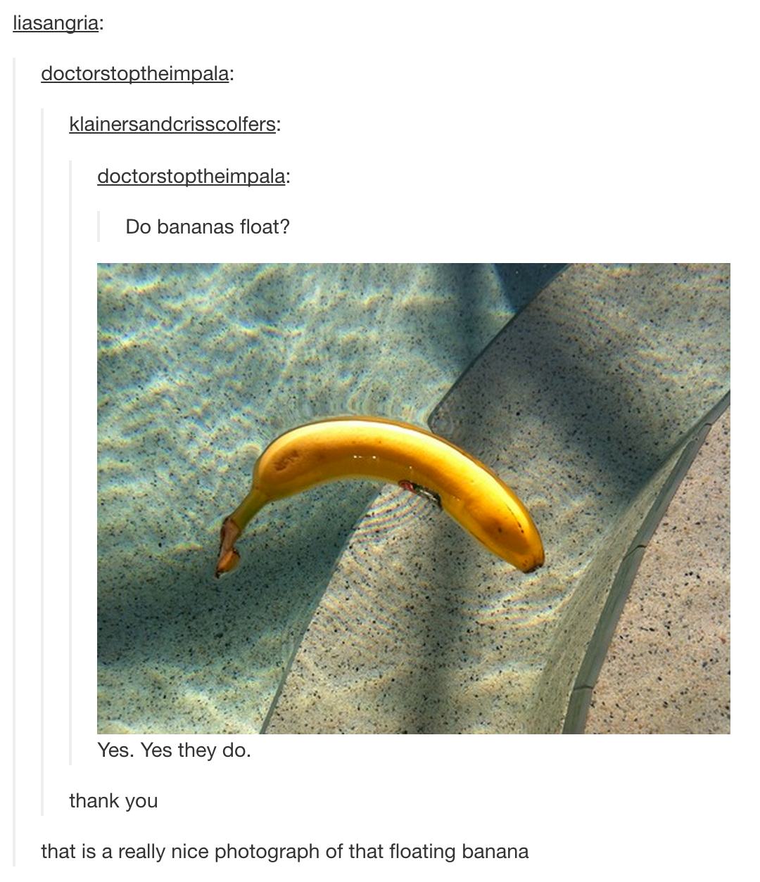 tumblr - do bananas float - liasangria doctorstoptheimpala klainersandcrisscolfers doctorstoptheimpala Do bananas float? Yes. Yes they do. thank you that is a really nice photograph of that floating banana