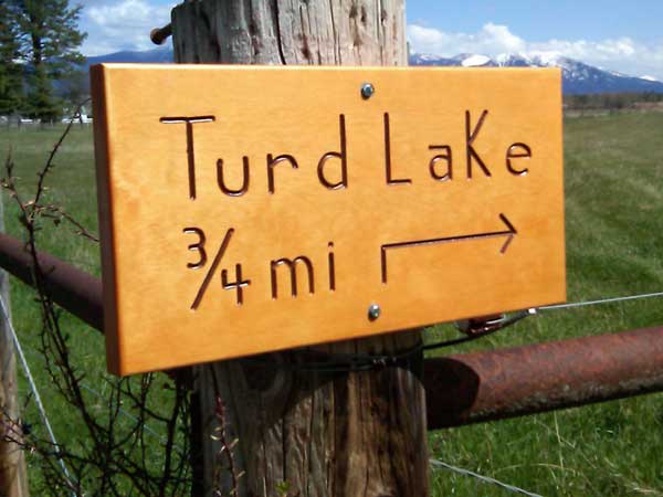 tree - Turd Lake 34 mi