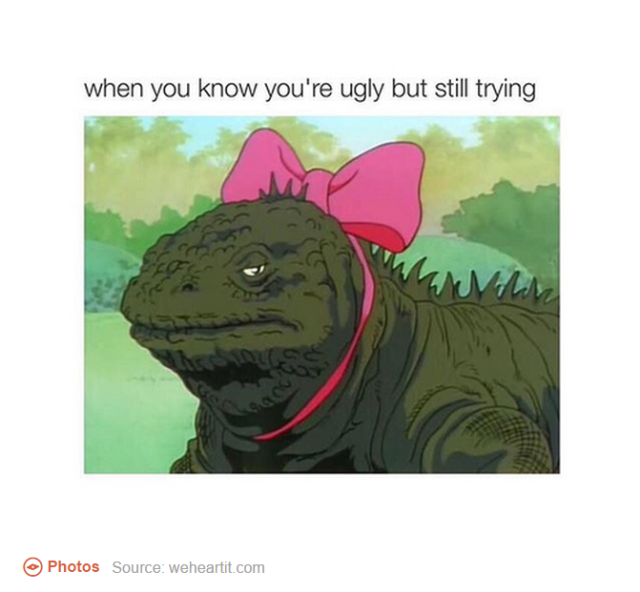 feel ugly meme - when you know you're ugly but still trying Photos Source weheartit.com