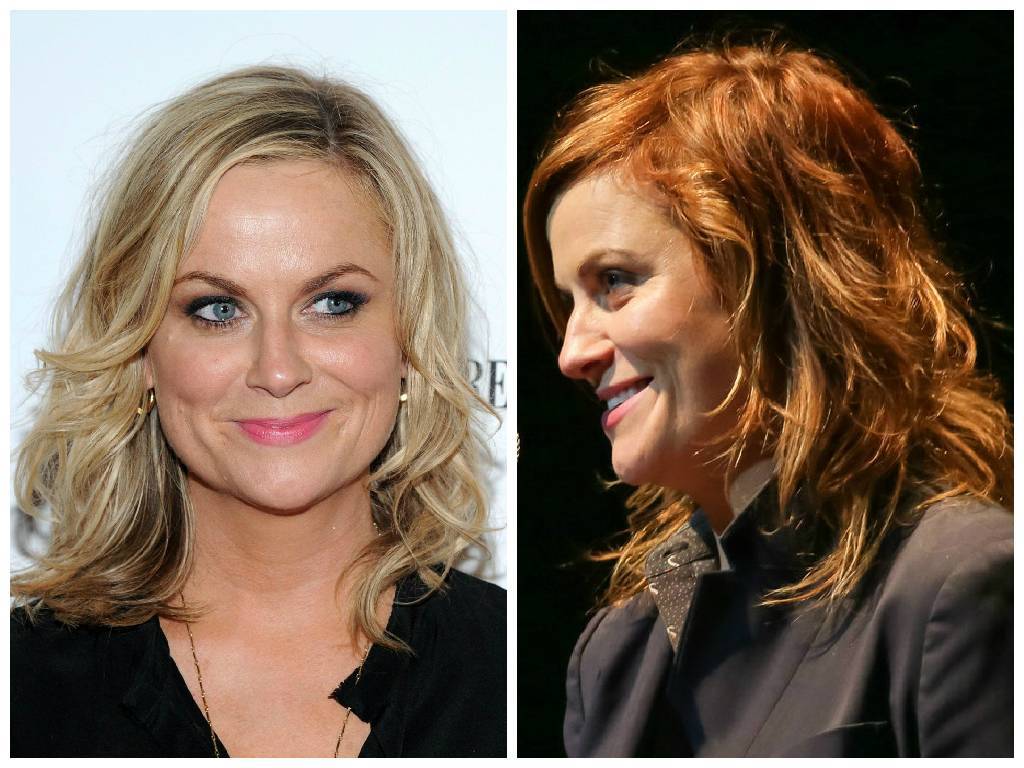 Amy Poehler updated her signature blonde locks and went for a new reddish hue at a celebration of the 60th anniversary of Allen Ginsberg's poem Howl.