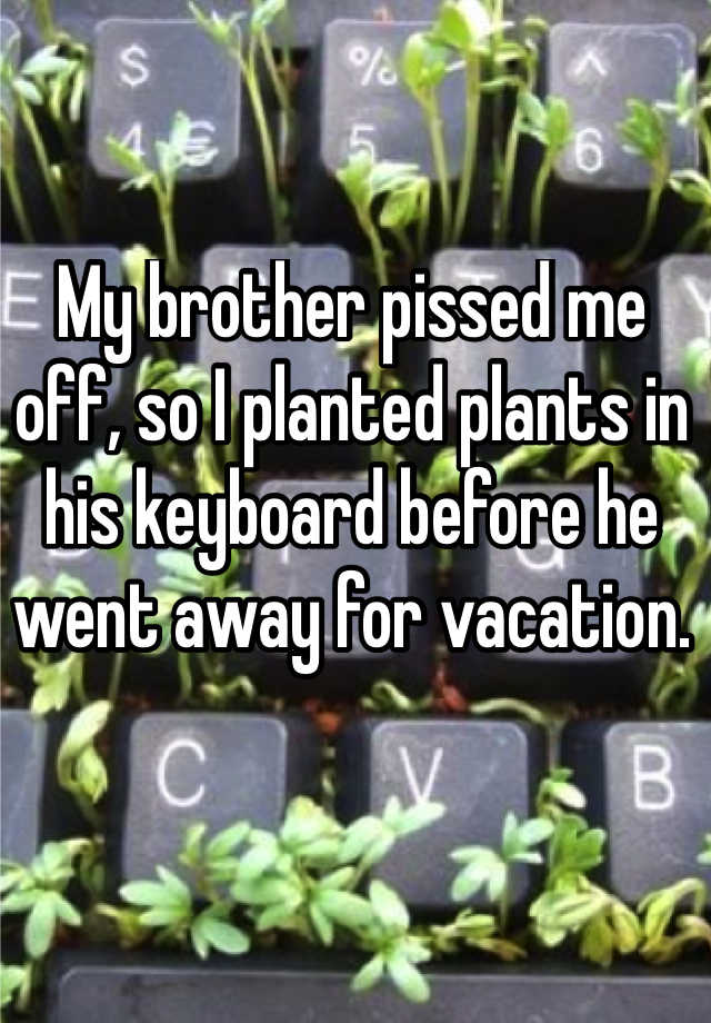 whisper -keyboard plants - E My brother pissed me _off, sol planted plants in hiskeuboard before he went away for vacation.