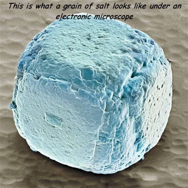 food under electron microscope - This is what a grain of salt looks under an electronic microscope