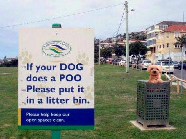 if your dog does a poo put - If your Dog does a Poo Please put it in a litter bin. Please help keep our open spaces clean.