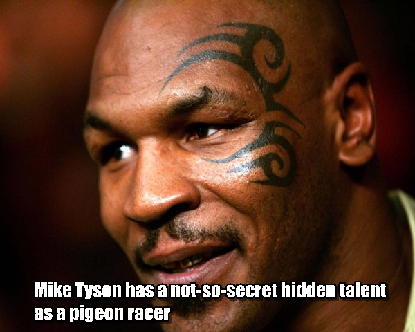 mark tyson - Mike Tyson has a notsosecret hidden talent as a pigeon racer