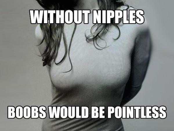 dad jokes - ignore joke - Without Nipples Boobs Would Be Pointless