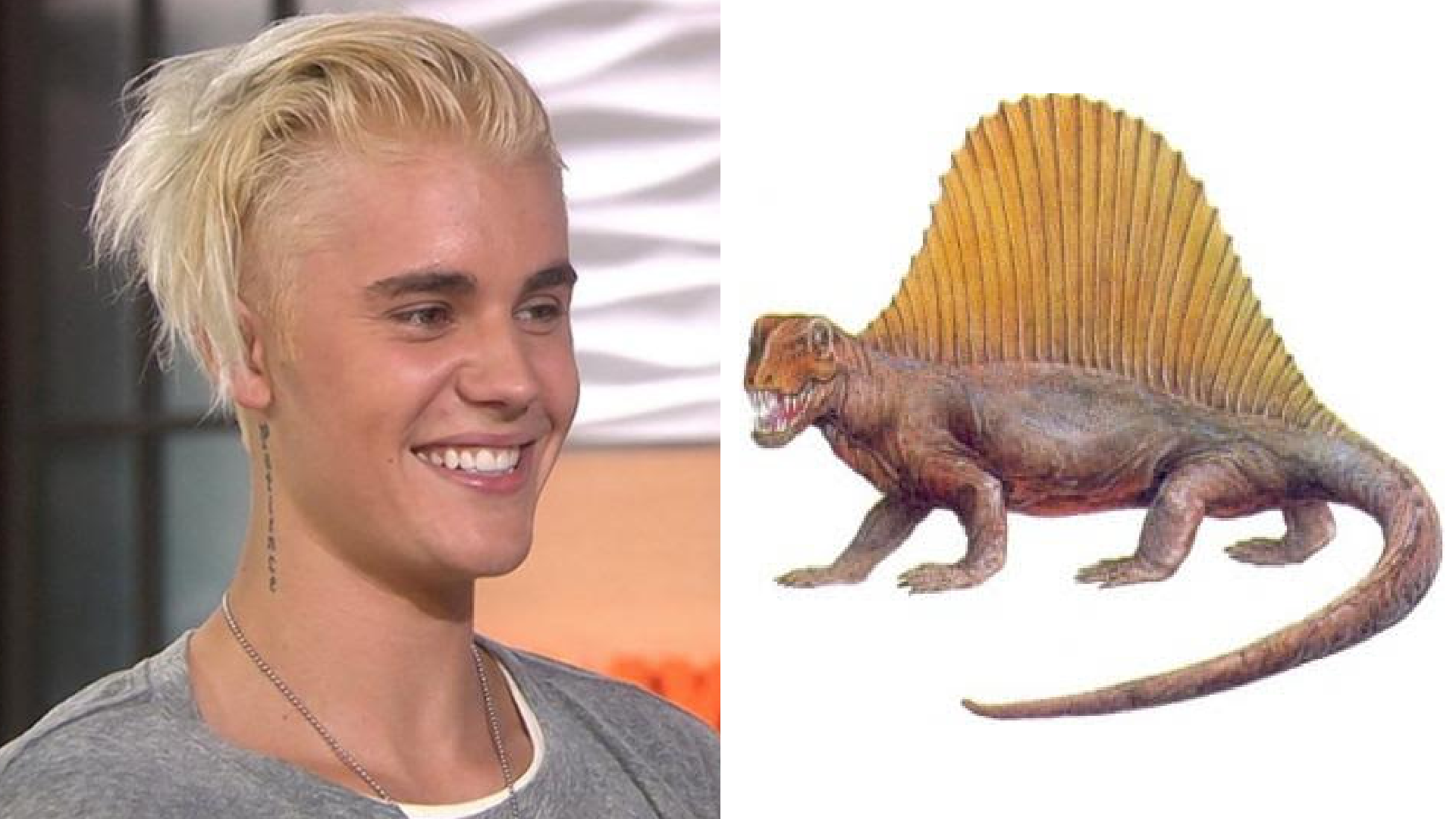 All Of The Things Justin Bieber Looks Like With His New Dumb Hair