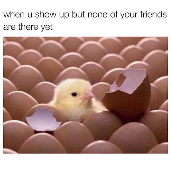 meme stream - came first hen or egg - when u show up but none of your friends are there yet