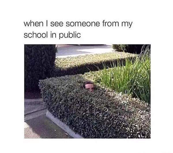 meme stream - hiding in bushes funny - when I see someone from my school in public