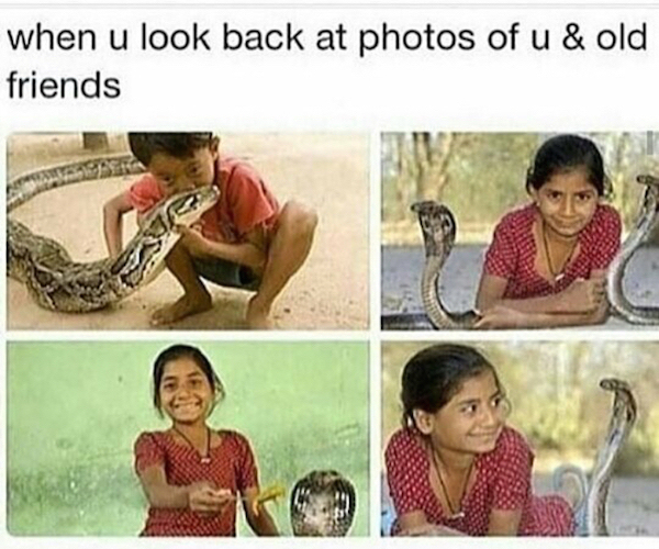 meme stream - me and my old friends snakes - when u look back at photos of u & old friends