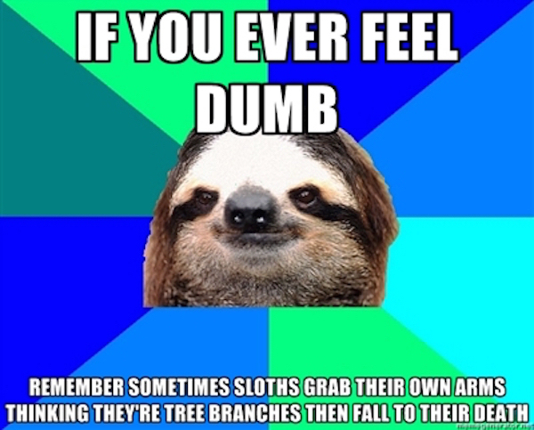 meme stream - if you ever feel dumb sloth - If You Ever Feel Dumb Remember Sometimes Sloths Grab Their Own Arms Thinking They'Re Tree Branches Then Fall To Their Death El