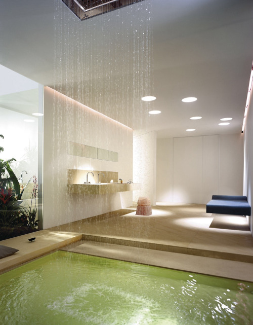 Rainfall/Pool Shower... Can’t decide if you want to take a bath or a shower? Take both at the same time!