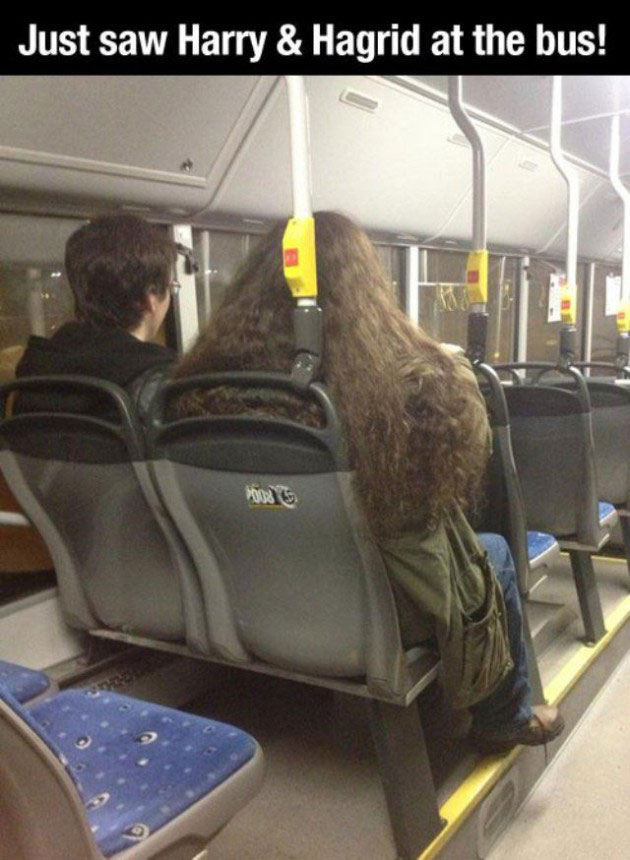 harry potter and hagrid on the bus - Just saw Harry & Hagrid at the bus!
